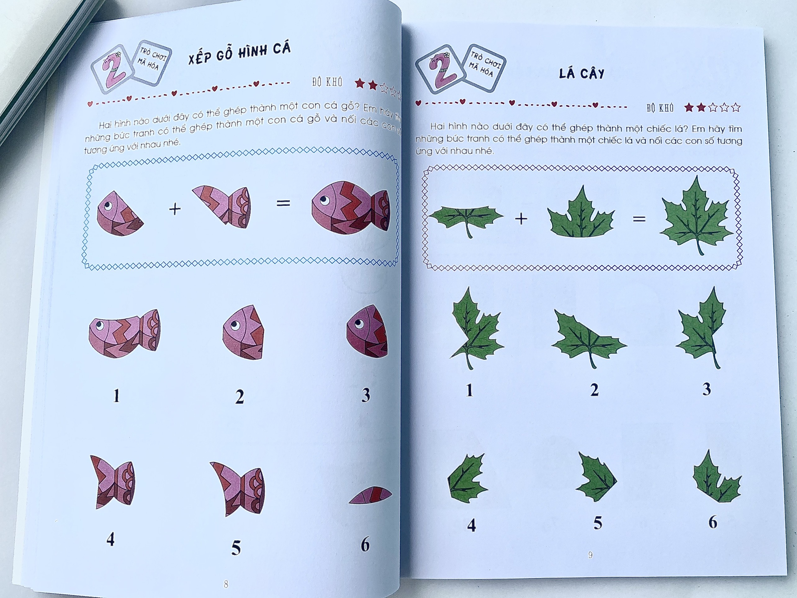 Bộ Sách Phát Triển Đại Não Thiên Tài: Rèn Luyện Não Trái, Não Phải-  GIÚP CÂN BẰNG SỰ PHÁT TRIỂN NÃO BỘ CỦA TRẺ 2-6 Tuổi