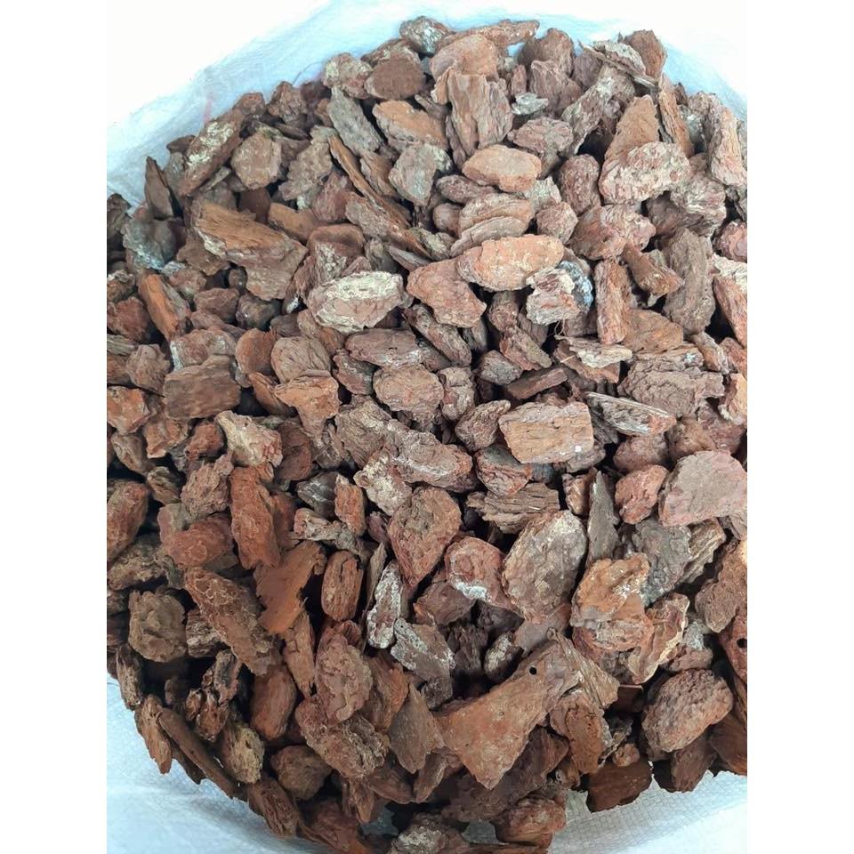 3KG VỎ THÔNG XAY TRỒNG LAN M'ORCHIDS BARK ĐÃ QUA XỬ LÝ