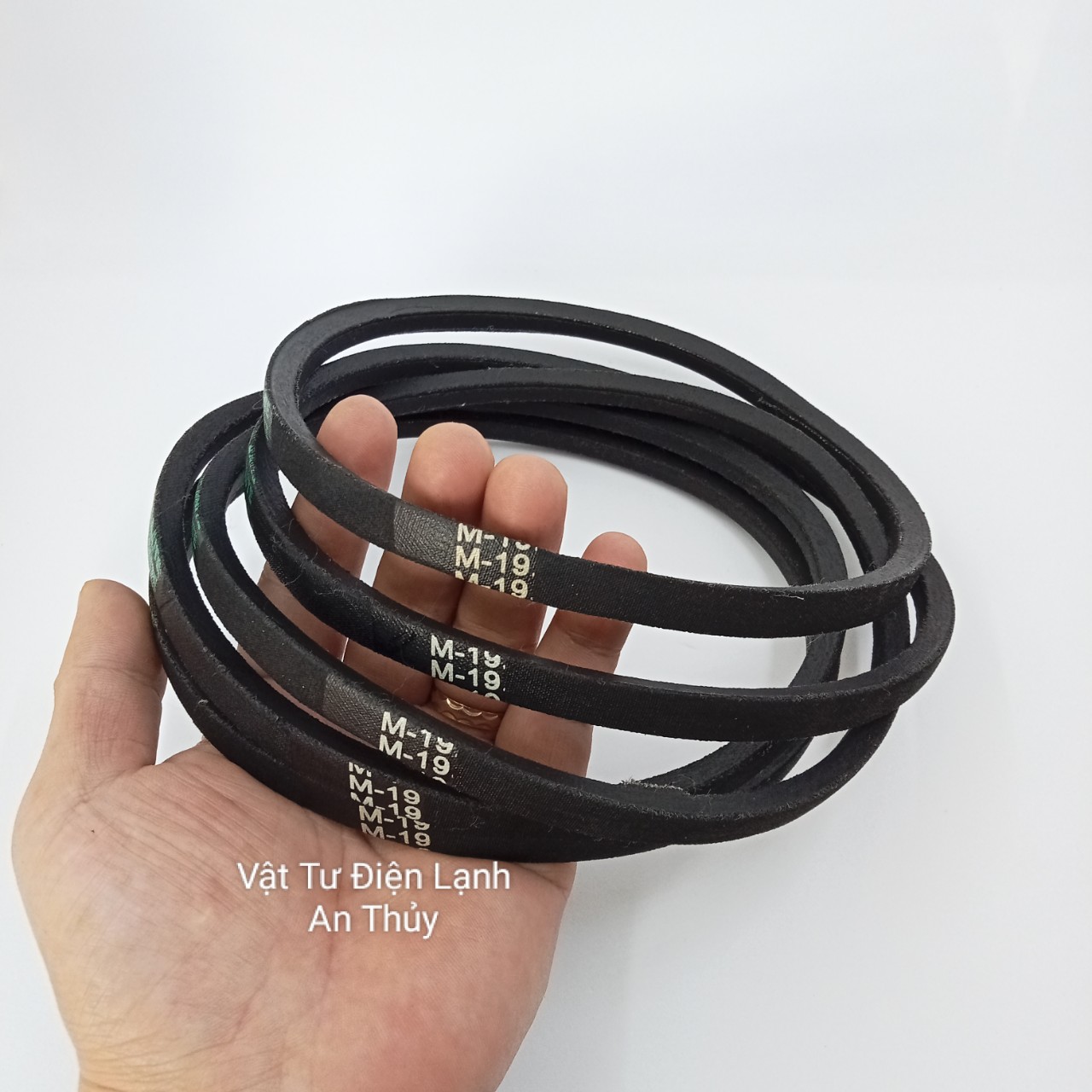 Dây curoa máy giặt cửa trên M19