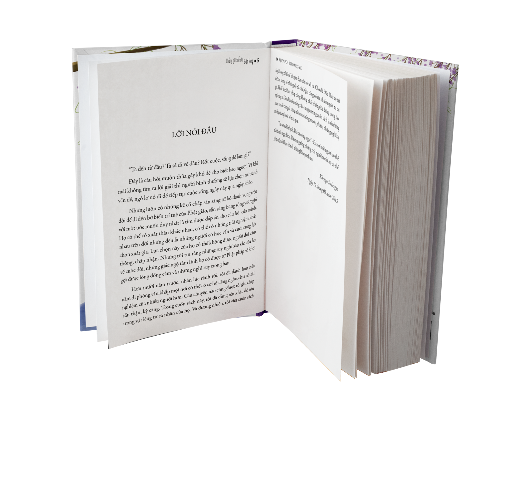 BỘ SÁCH "BẬN" - Sách Tôn Giáo, Nghệ Thuật Và Văn Hóa, Tác Giả KHENPO SODARGYE - Hiệu sách genbooks, bìa mềm, in màu