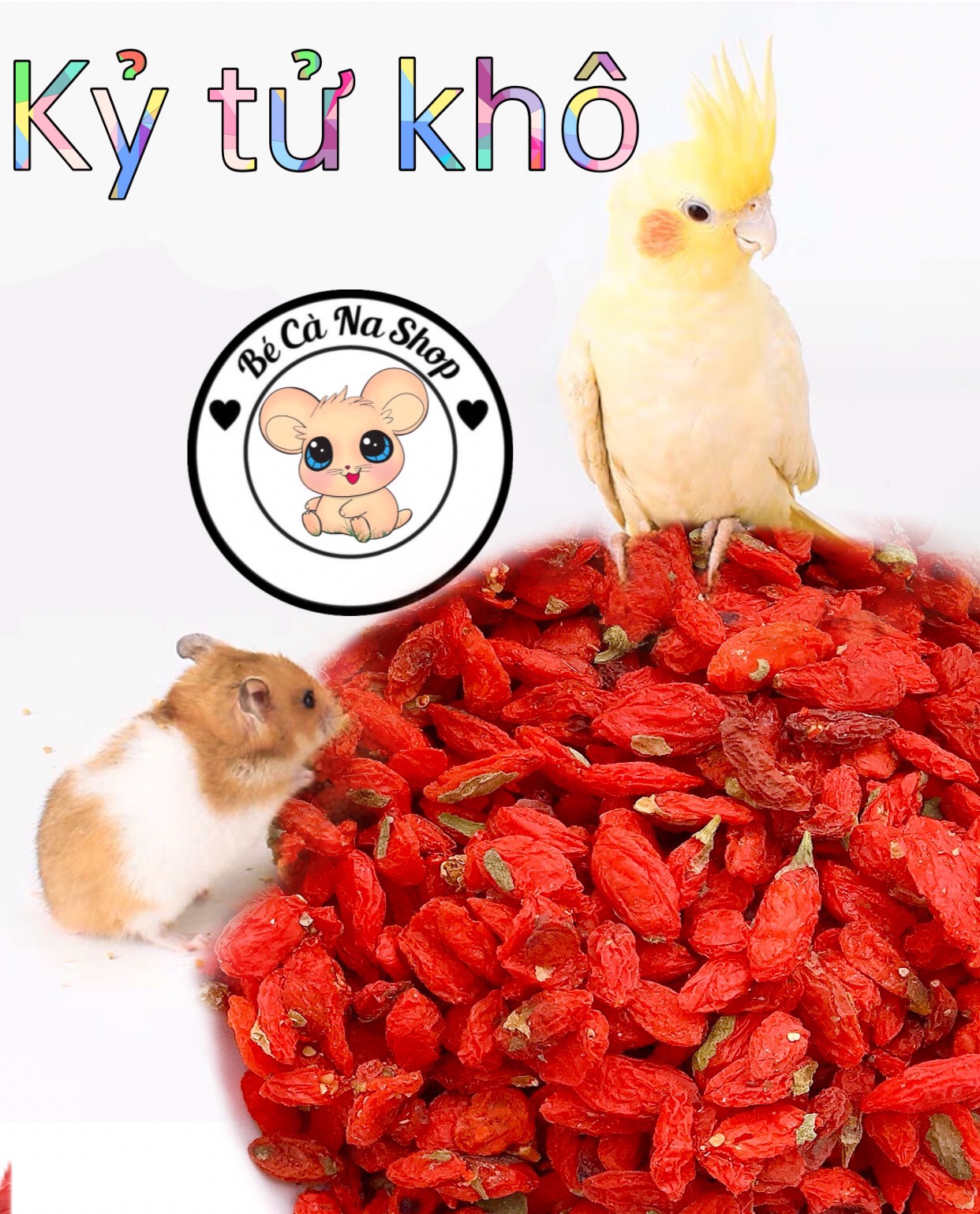 hạt kỷ tử sấy khô cho hamster rất bổ máu huyết