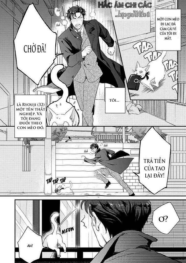 dorobou neko ni wa nusumena chapter 1 4