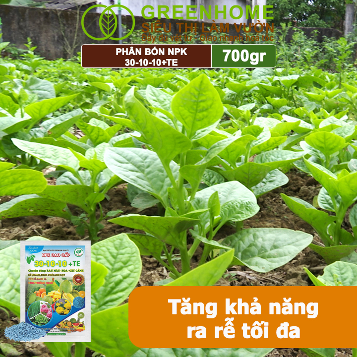 Phân Bón NPK 30-10-10+TE, Greenhome, Gói 700Gr, Giúp Cây Đẻ Nhánh, Bung Chồi, Nhú Đọt, Tốt Rễ