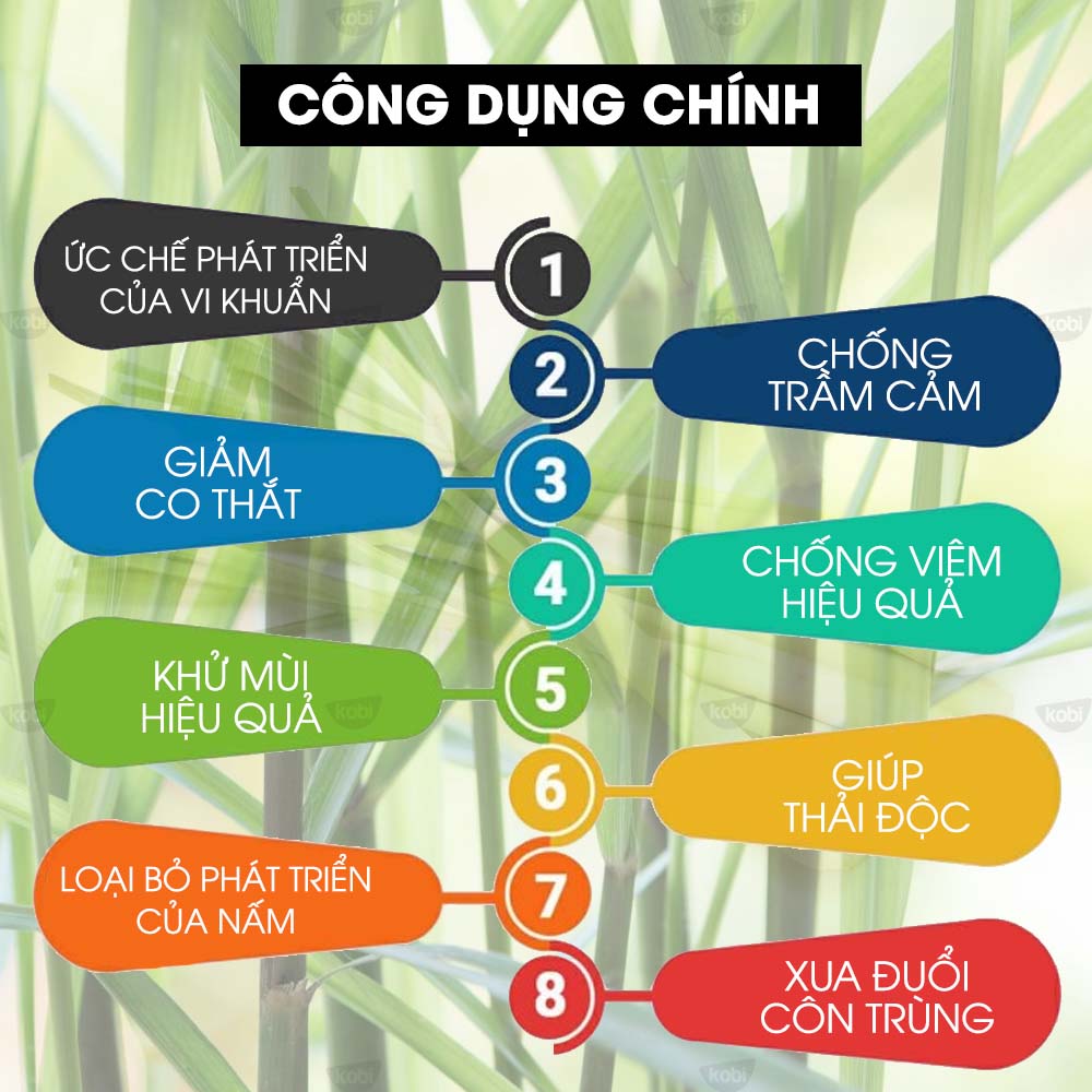 Tinh Dầu Sả Java Kobi Giúp Khử Mùi, Thơm Phòng, Xua Đuổi Côn Trùng Hiệu Quả - 5ml