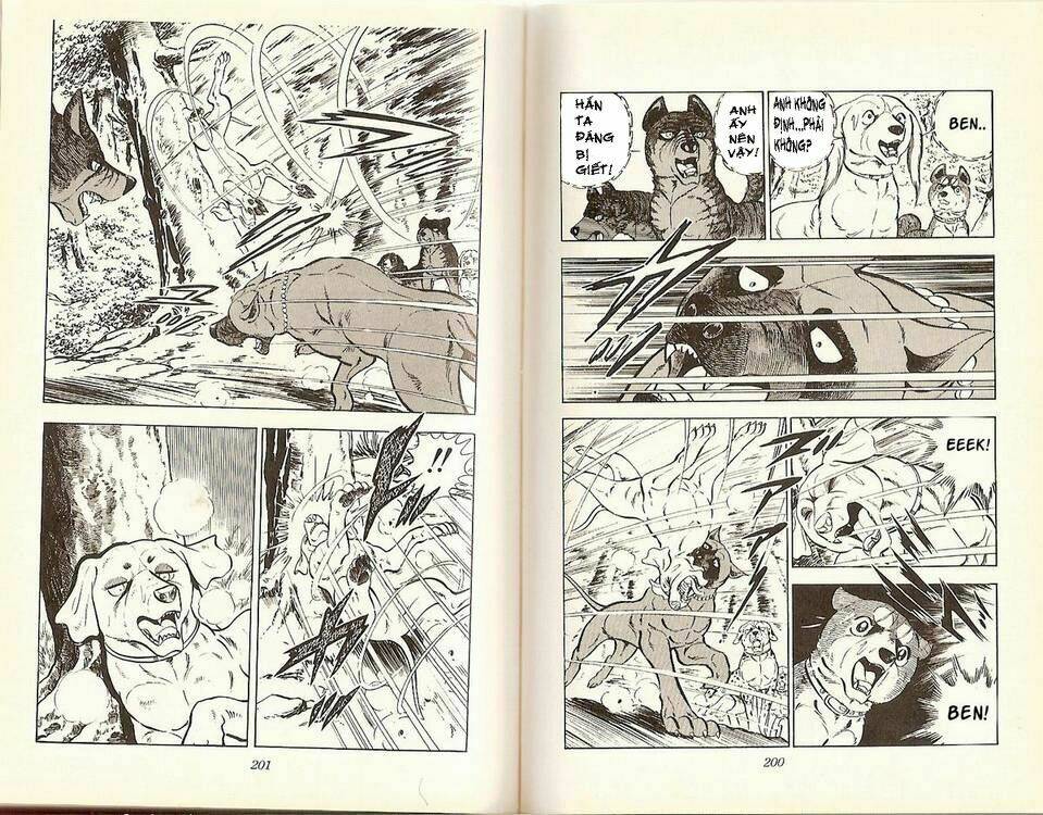 chú chó có nghĩa - ginga nagareboshi gin chapter 17 7