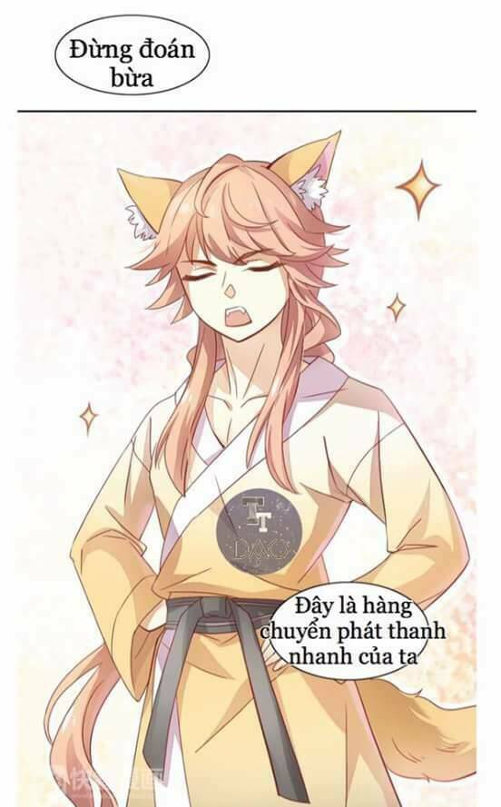 dưới móng vuốt mèo chapter 2 22