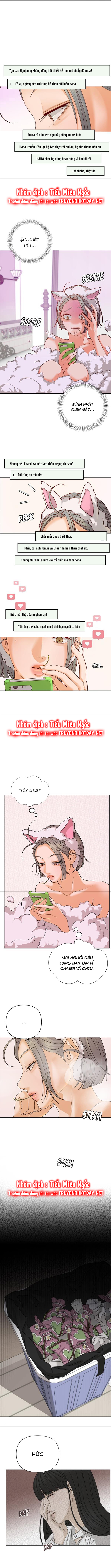 Câu Lạc Bộ Của Những Lọ Lem chapter 63 - Trang 2