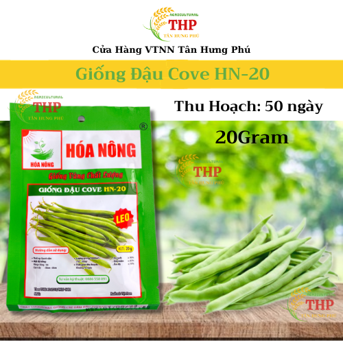 Hạt giống Đậu Cove HN-20 | Hạt Giống | gói 20gr