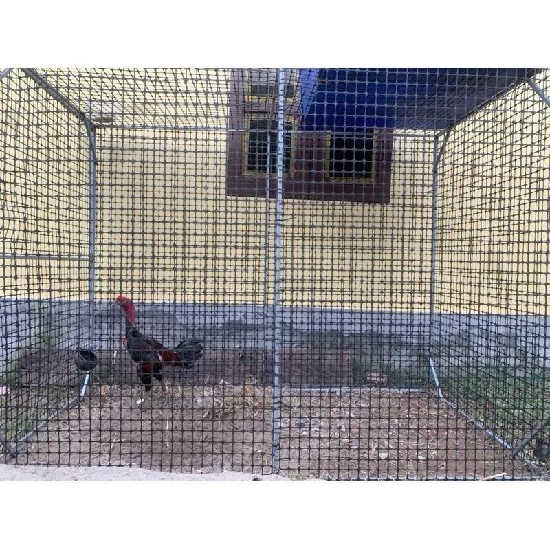 Lưới rào gà ,ngan vịt,ngỗng cao 1 mét dài 50mét