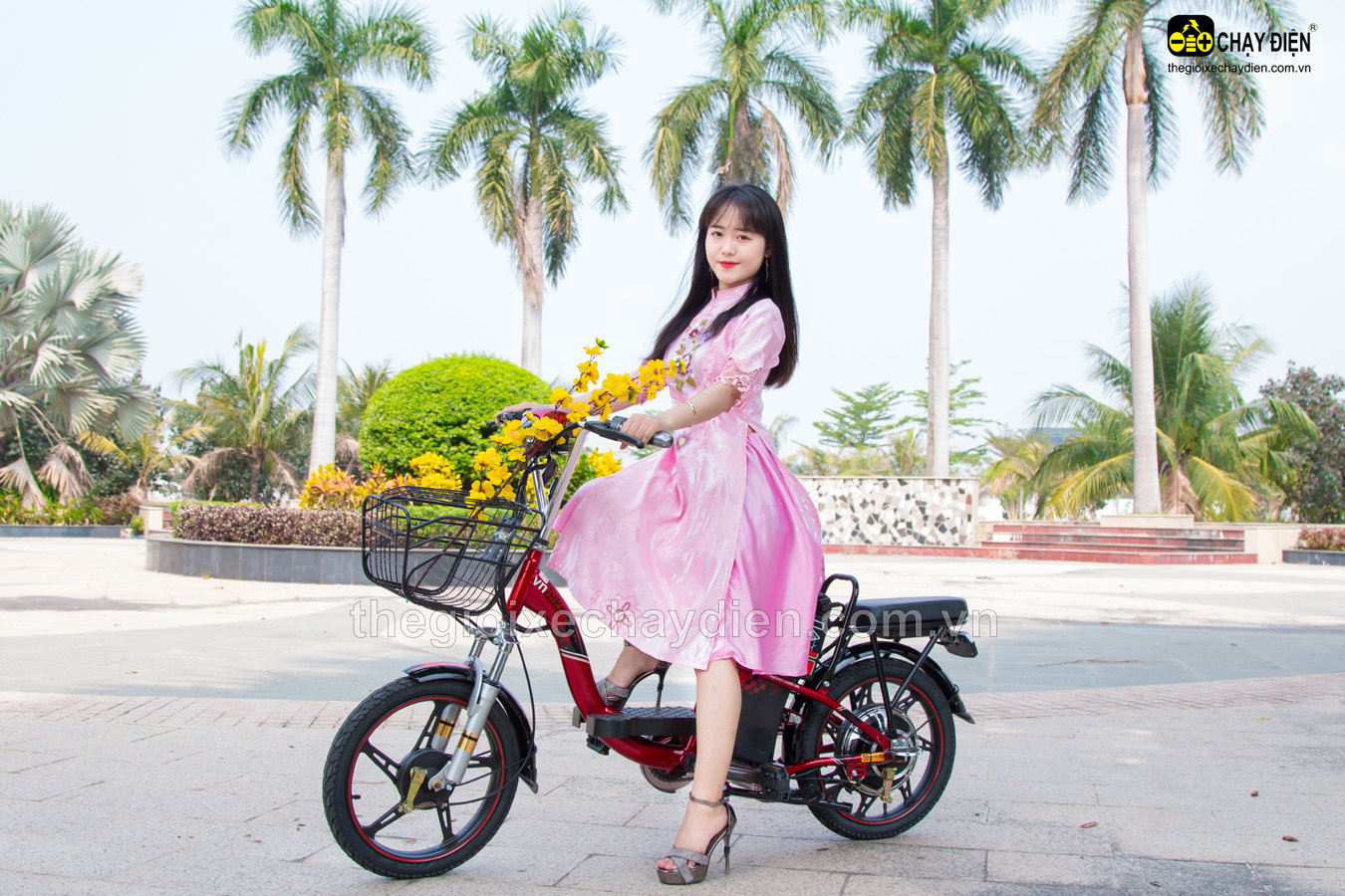 XE ĐẠP ĐIỆN VNBIKE V1 18INCH