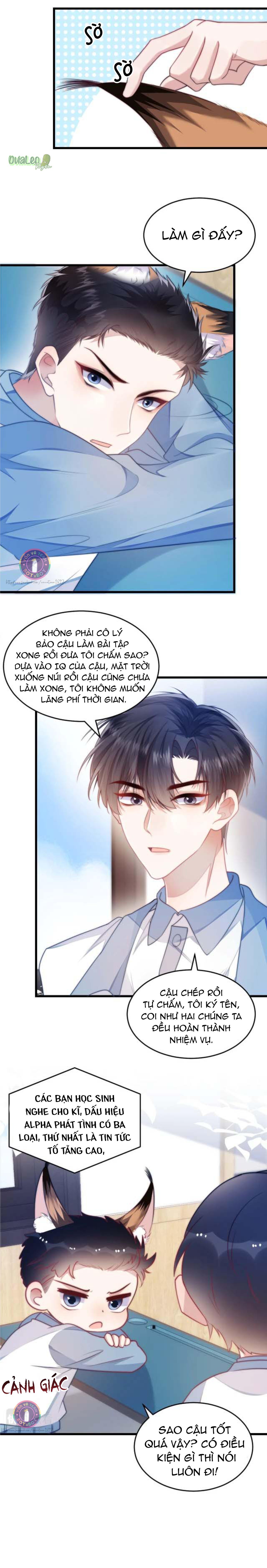 Mèo Hoang Nhỏ Của Học Bá Quá Trêu Người (END) chapter 6