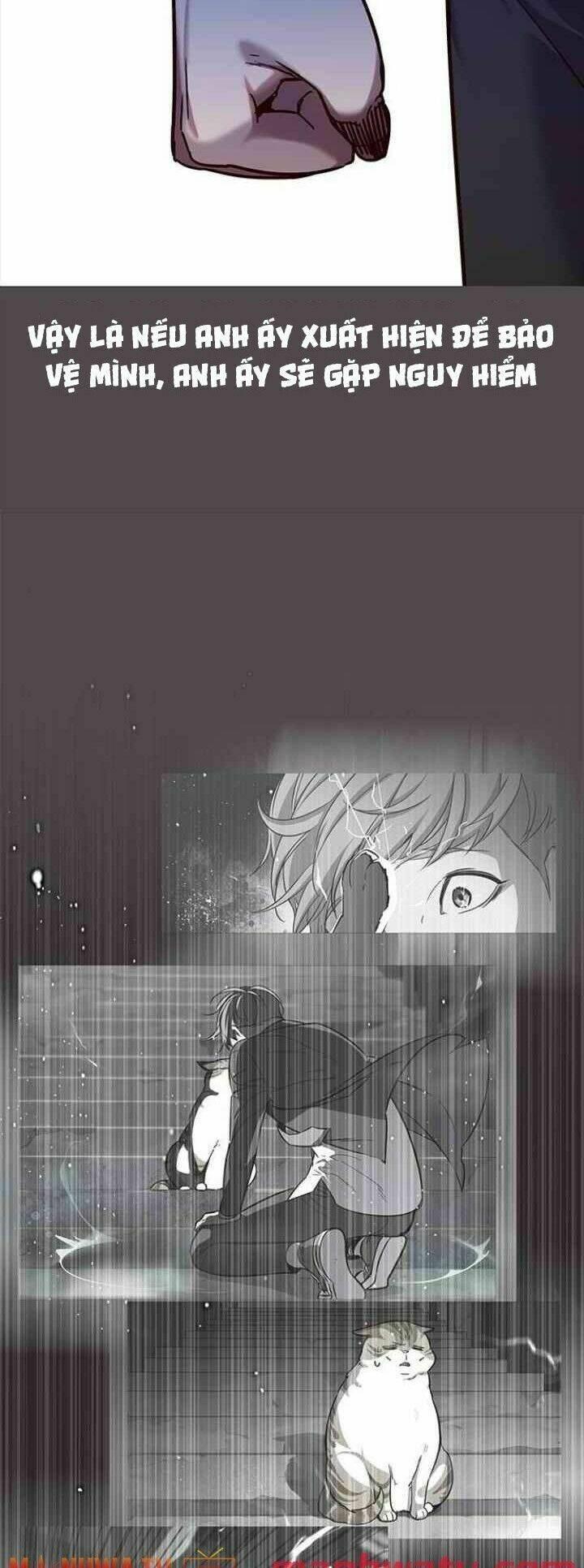 biến thân thành mèo chapter 99 52