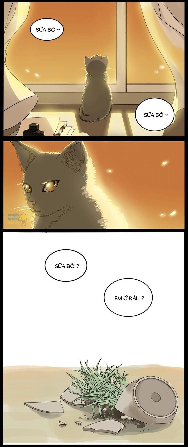 cứu mạng ! loài mèo thống trị thế giới rồi ! chapter 3 16
