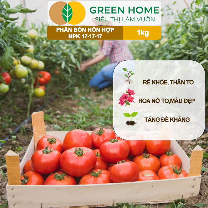 Phân NPK 17-17-17 GreenHome, Minro, Bao 1Kg, Thân Lá Khỏe Mạnh, Đậu Quả, Bộ Rễ Mạnh, Năng Suất Cao
