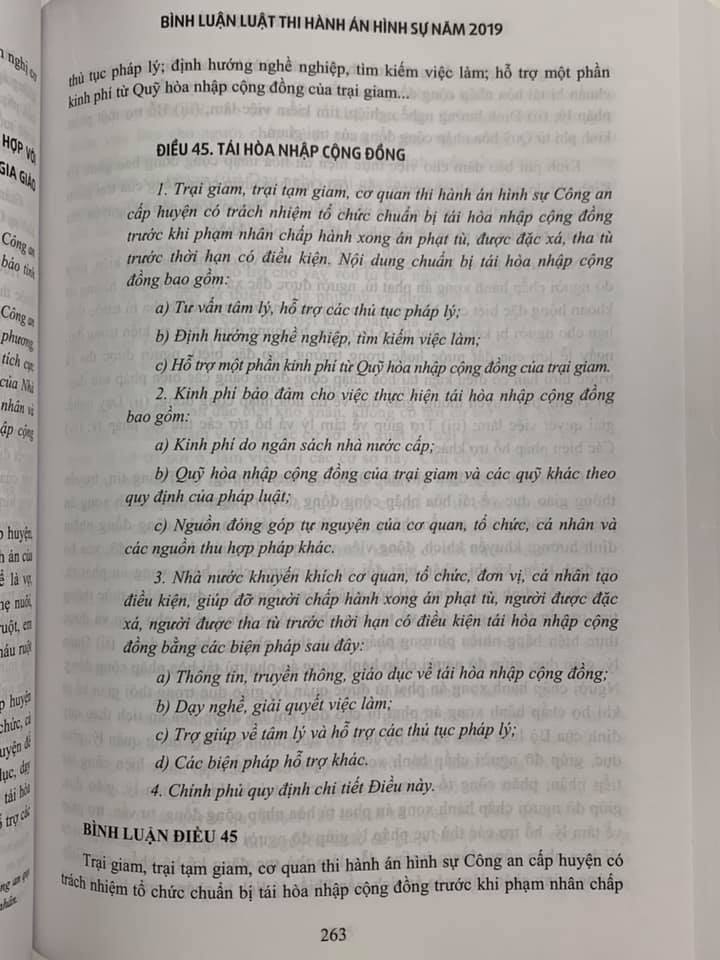 Combo: Bình Luận Luật Thi Hành Án Hình Sư năm 2019 và Luật thi hành án hình sự