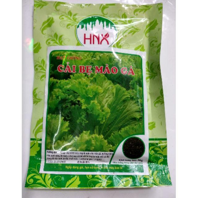 Hạt giống rau cải bẹ mào gà