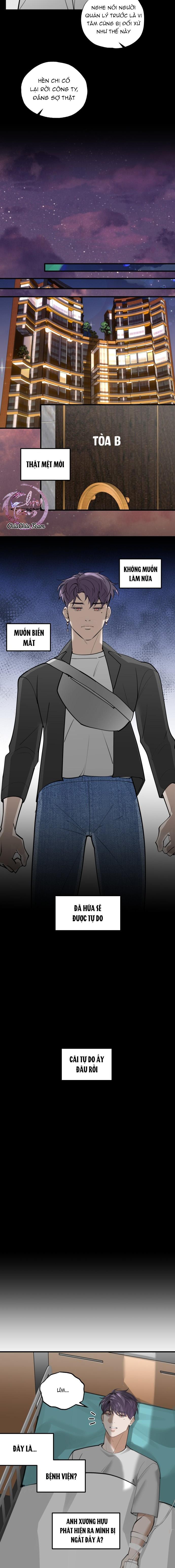 lặng lẽ ngắm nhìn em chapter 4 8