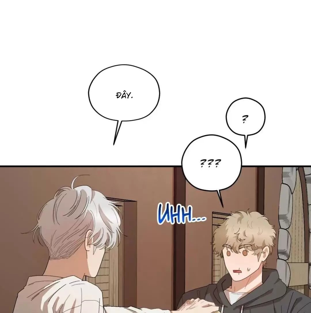 liveta chapter 27 28