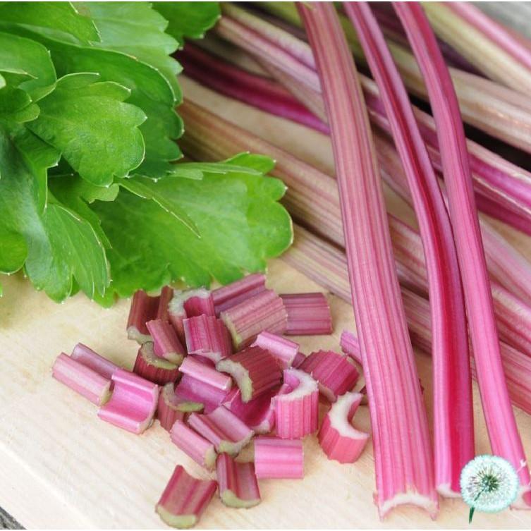 Hạt giống rau cần tây đỏ - 1 gói 2gr