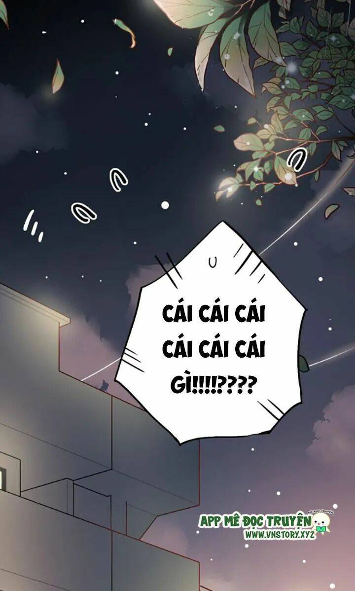 trạch thượng tịch mịch huỳnh hỏa chapter 24 48