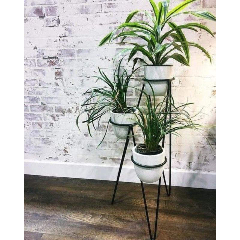 Kệ để cây cảnh ba tầng siêu cool và gọn gàng