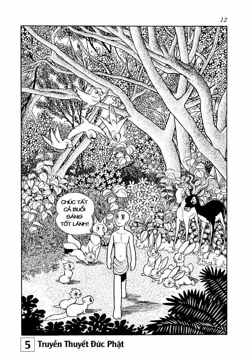 buddha - truyền thuyết đức phật chapter 23 12