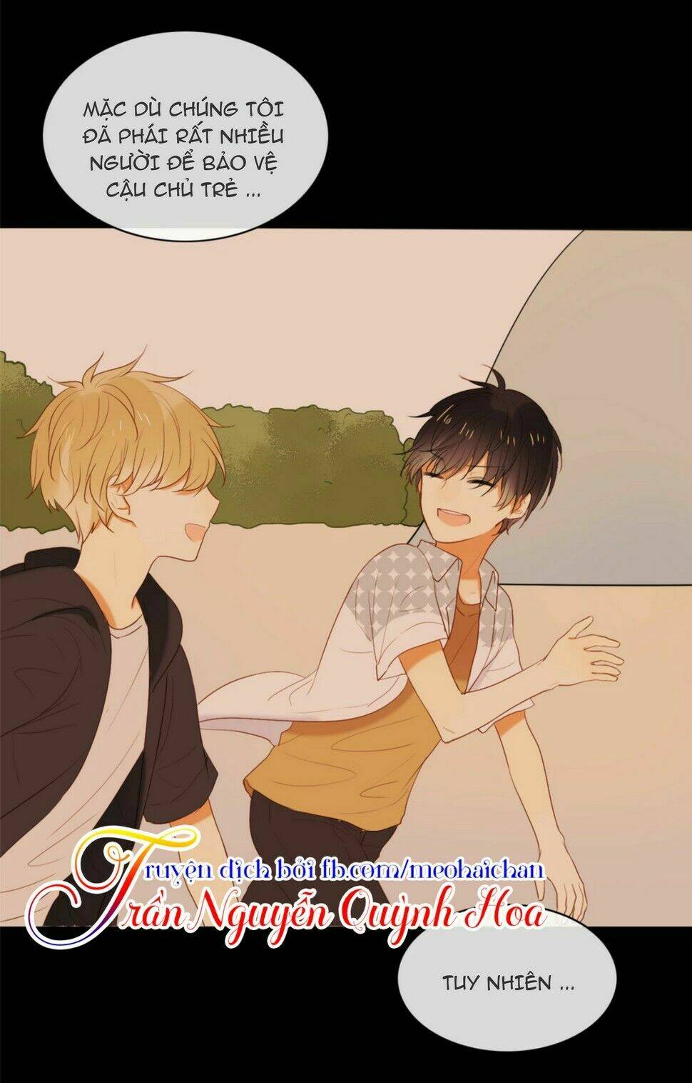 điều giáo quan hệ chapter 8 29