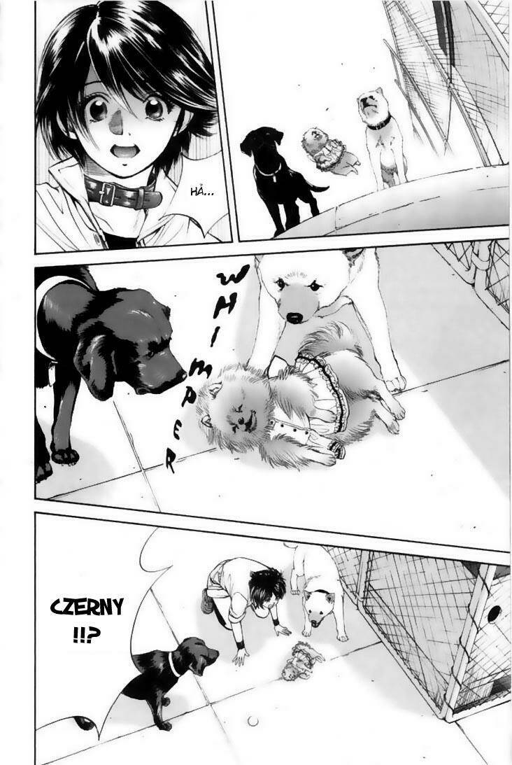 cô nàng yêu chó chapter 22 18