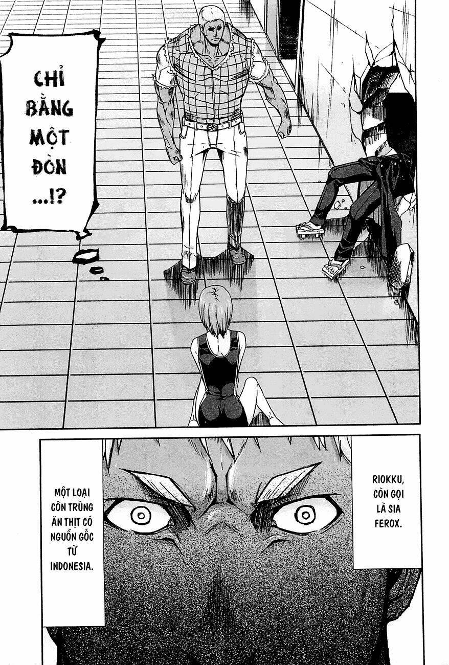 arachnid chapter 22 18