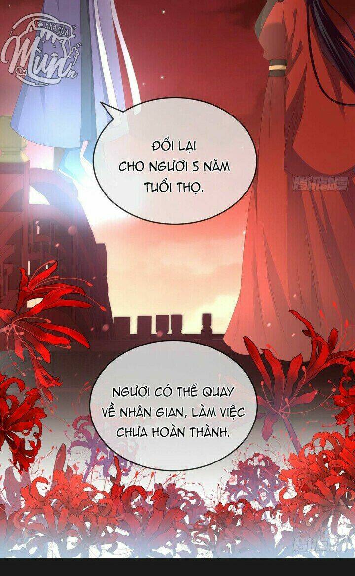 kiều phu có hỉ chapter 19 14