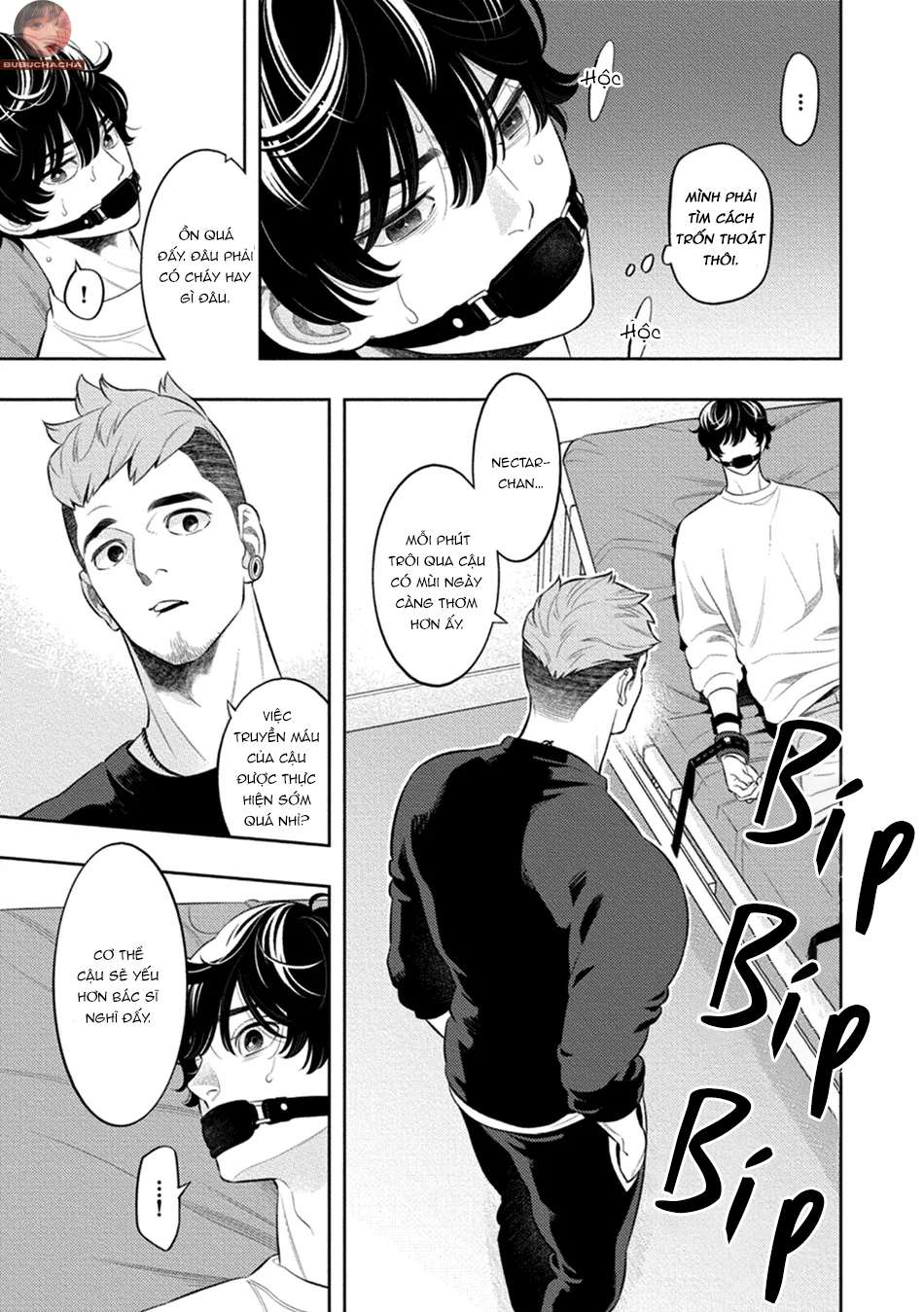 mật hoa hương khói chapter 5 14