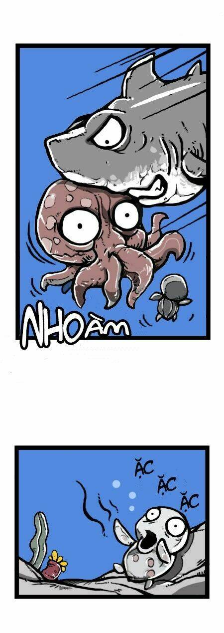 earth, human, and animal chapter 17 4