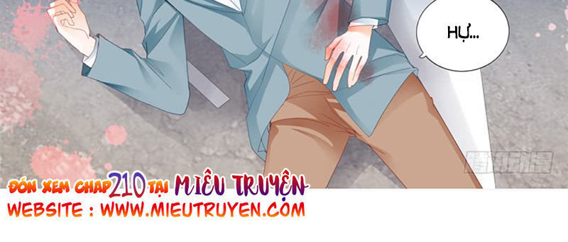lóe thiểm hôn kiều thê mơ tưởng trốn chapter 209 13