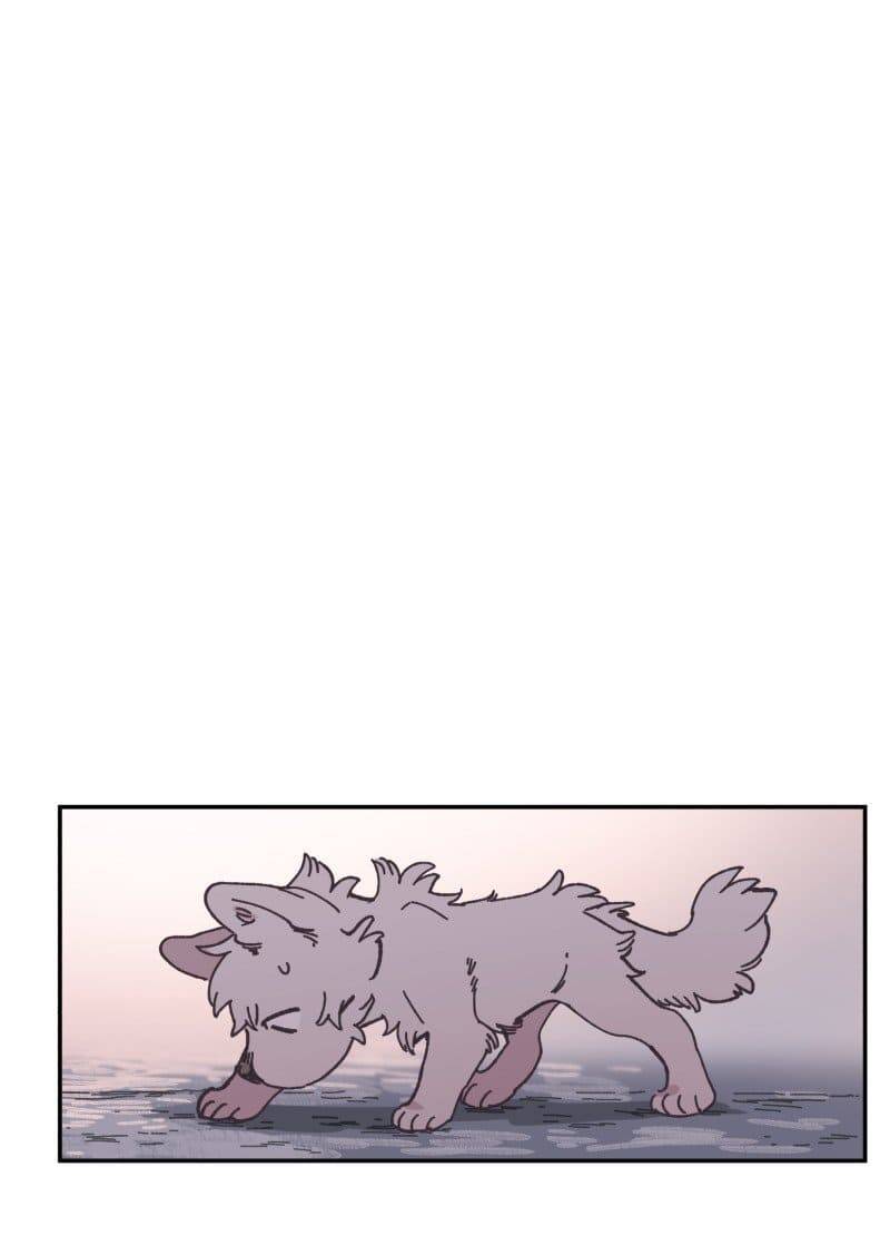 lumine - cội nguồn ánh sáng chapter 81 19