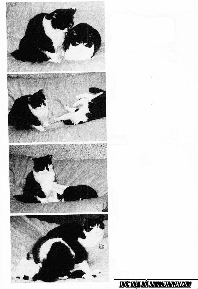 shin kotaro makaritoru! juudouhen chapter 41 20