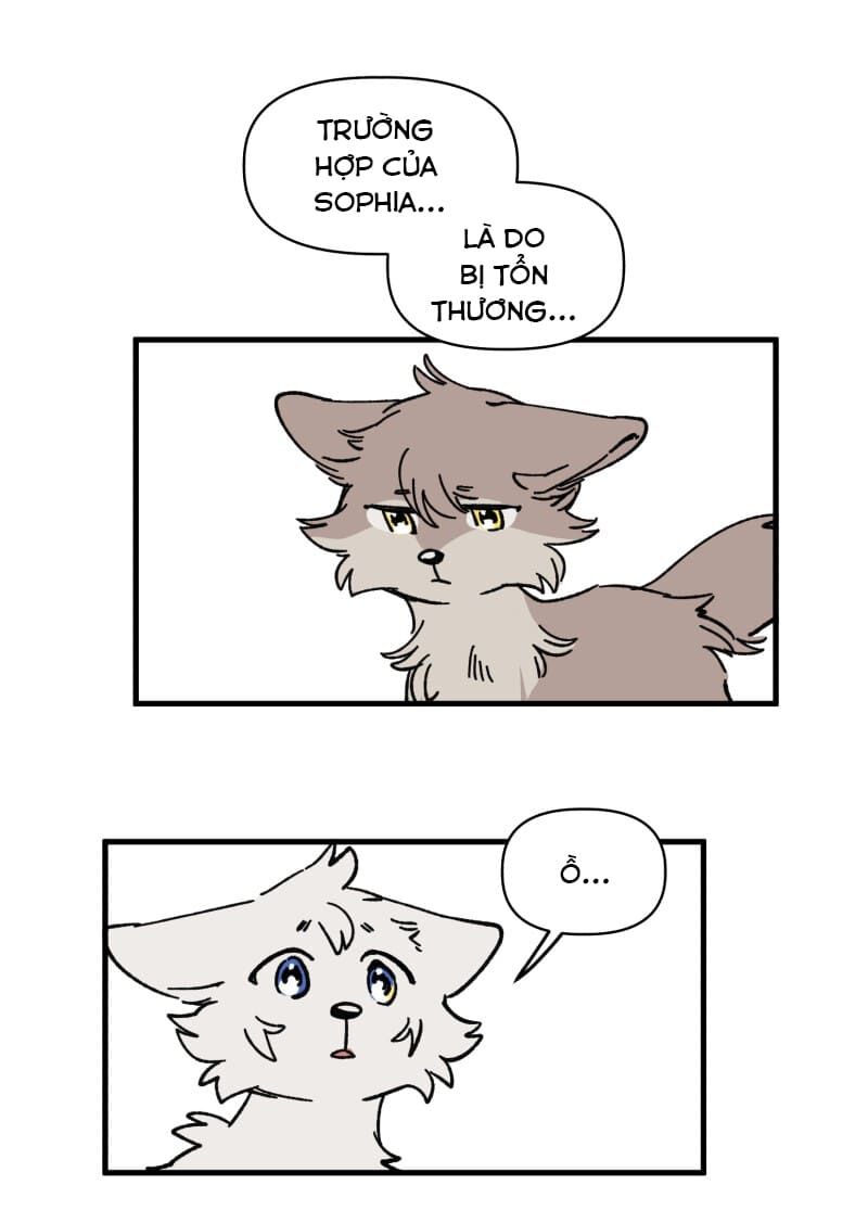 lumine - cội nguồn ánh sáng chapter 129 4