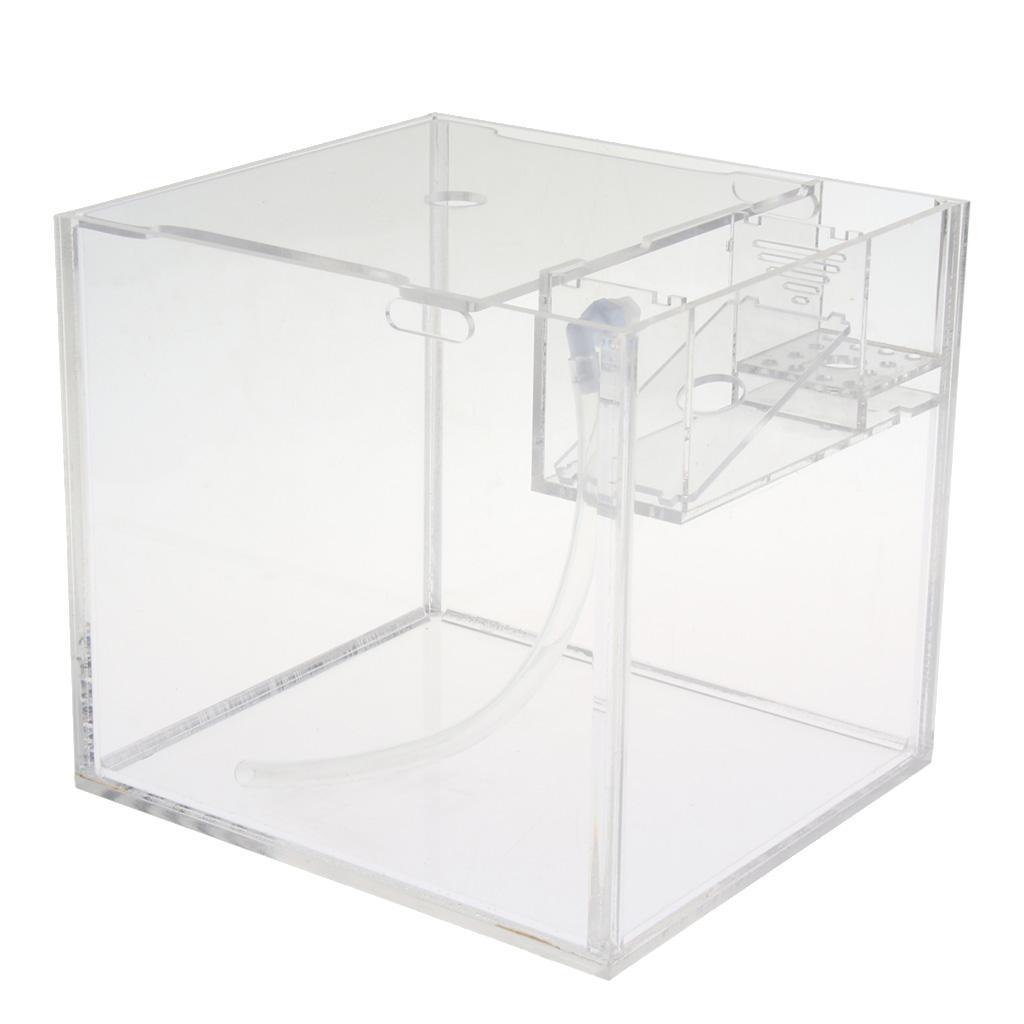 Tropical Betta Mini Tank Arcylic Aquarium Small Tank