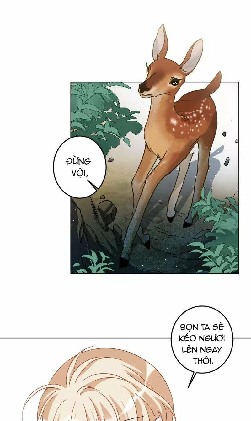 cô ấy đến rồi, xin nằm xuống! chapter 117 5