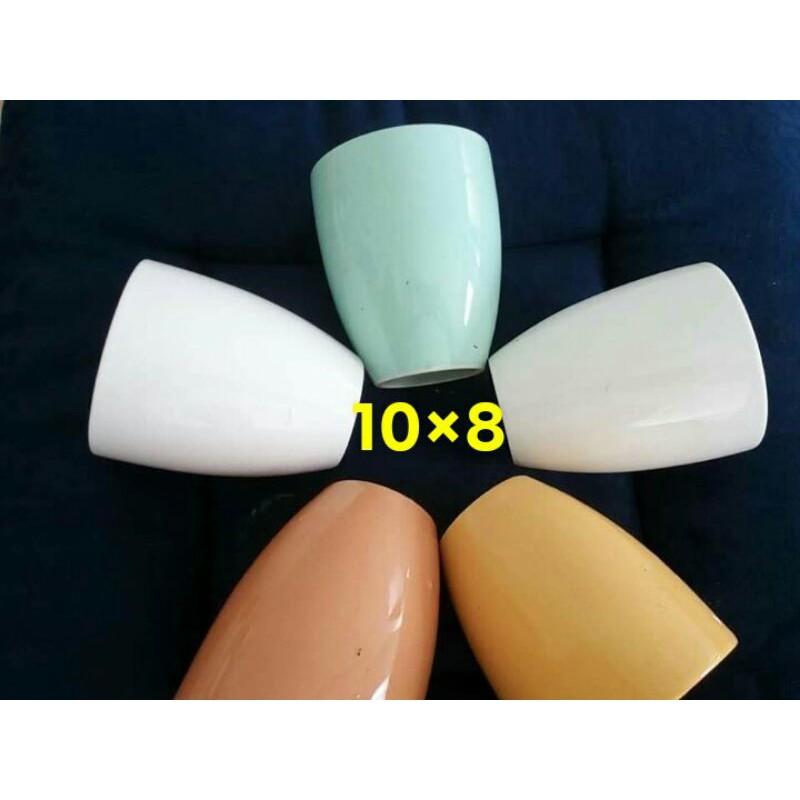 5 chậu trồng sen đá xương rồng cao 10 miệng 8cm