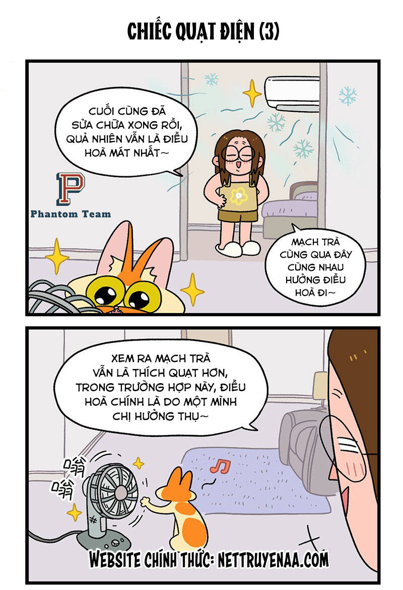 a mãn và mạch trà chapter 28 5