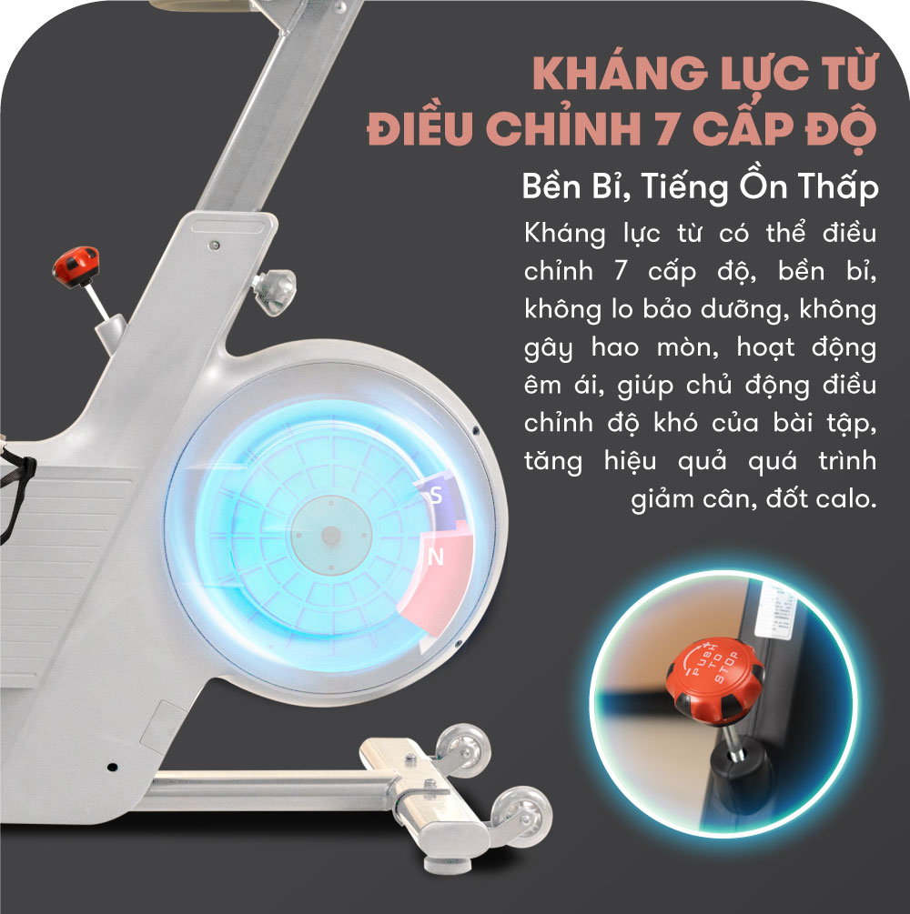 Xe Đạp Tập Thể Dục ELIP Pasteur chính hãng, kháng lực từ, truyền động dây curoa bền bỉ