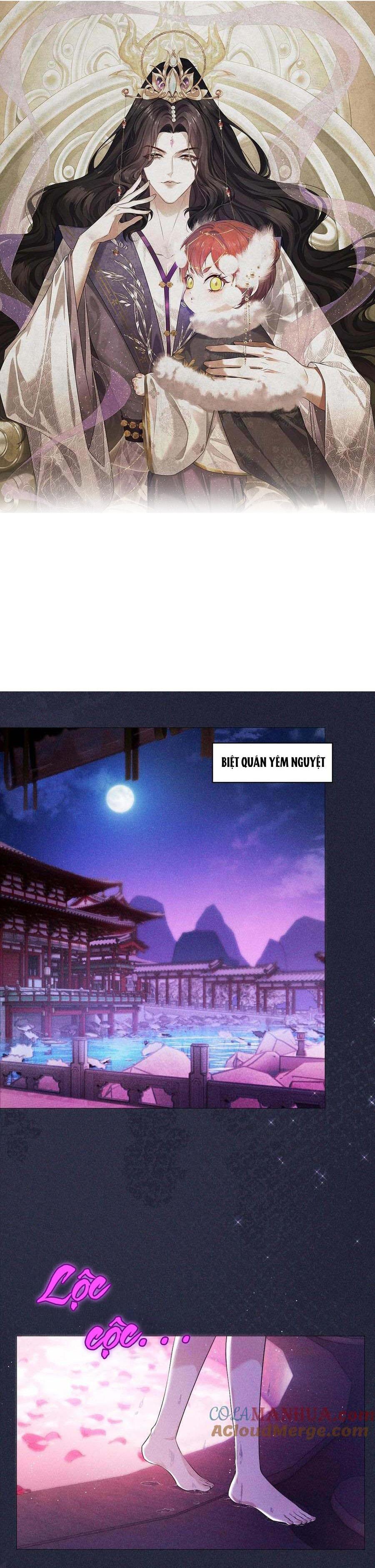 hỉ sự của đế quân chapter 12 1