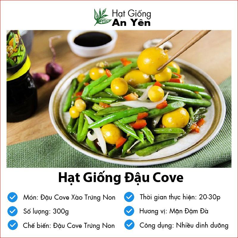 Hạt giống Đậu Cove F1 thu hoạch sớm, dễ trồng, nảy mầm cao, sinh trưởng khoẻ