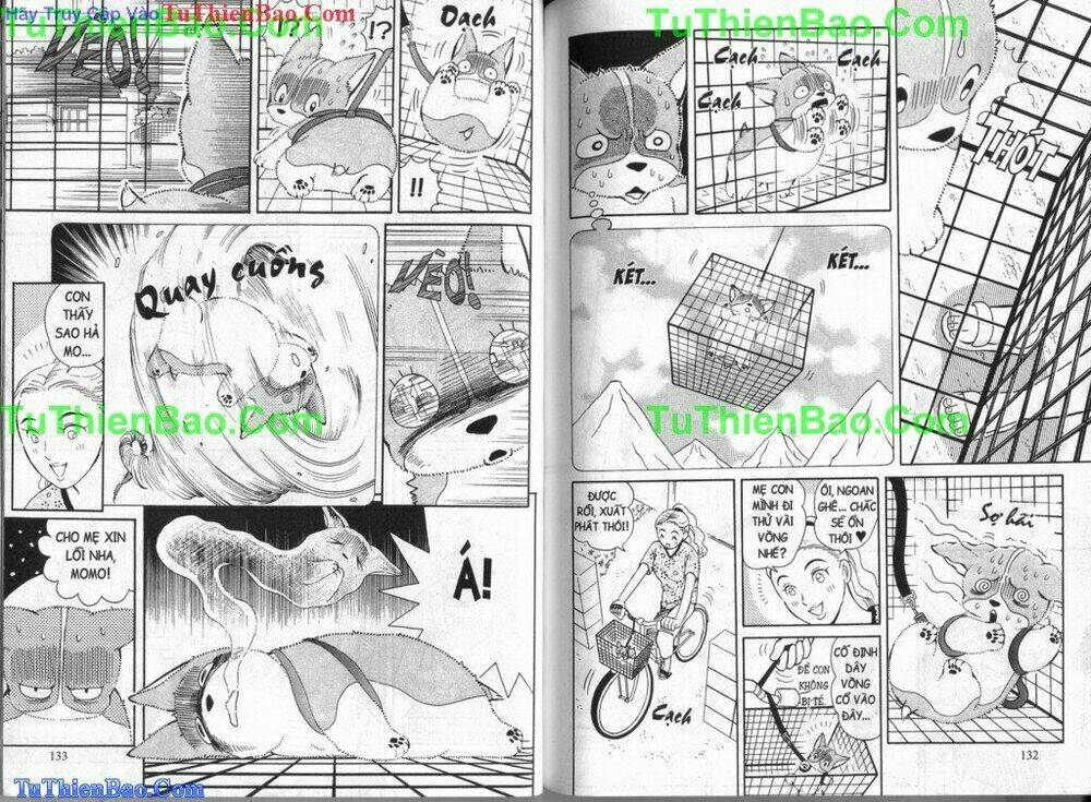 chó con mo mo chapter 3 68