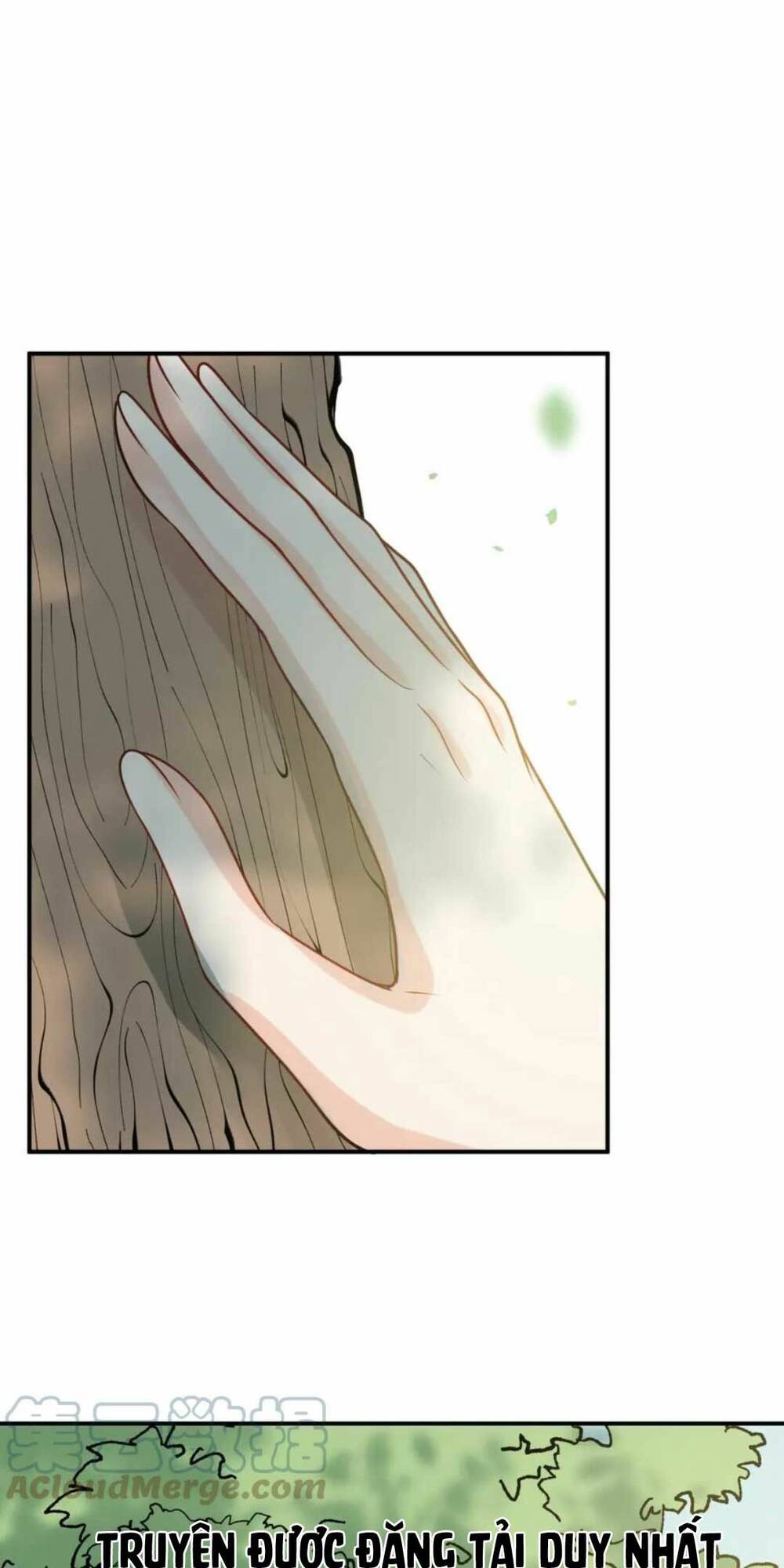 cô vợ hợp đồng bỏ trốn của tổng giám đốc chapter 487 17