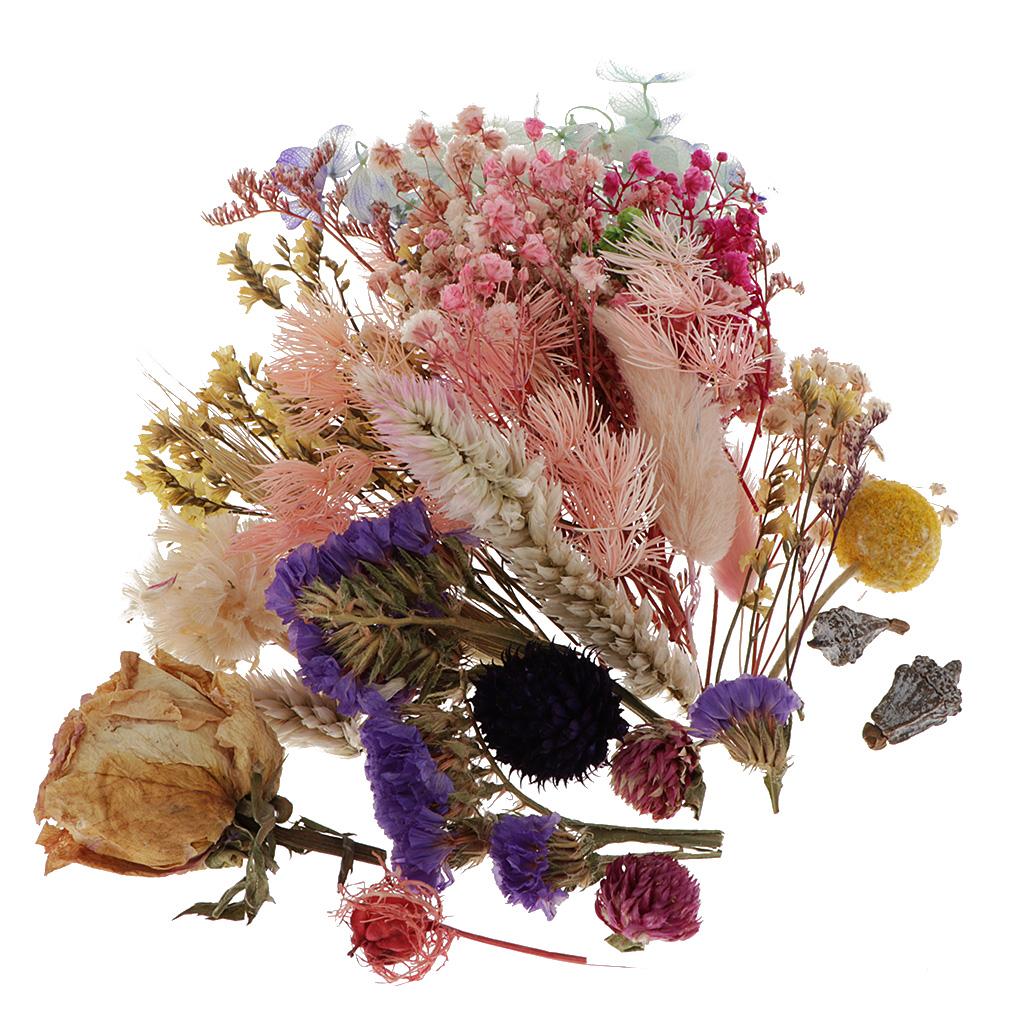 1 Hộp Ép Lá Hoa Khô Tự Nhiên Làm Thẻ Album