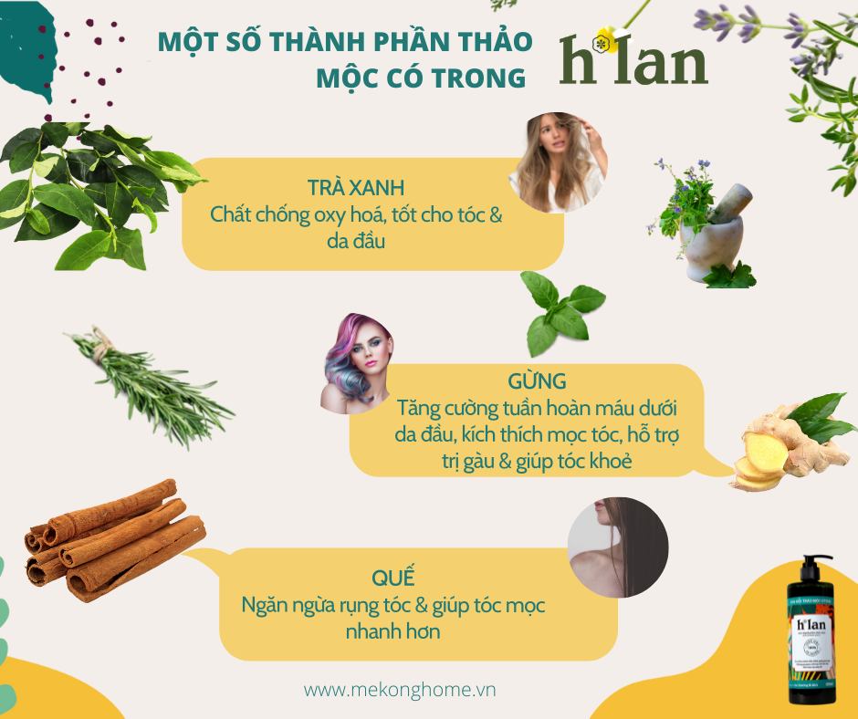 Dầu Gội Thảo Mộc Tươi H*LAN - Tóc Thường - 300ml