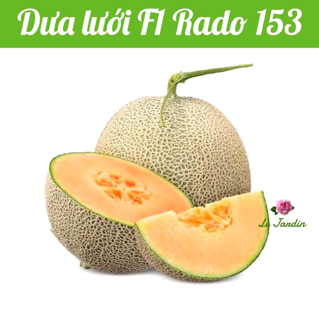 Hạt giống Dưa Lưới gói 10 hạt - Trồng quanh năm
