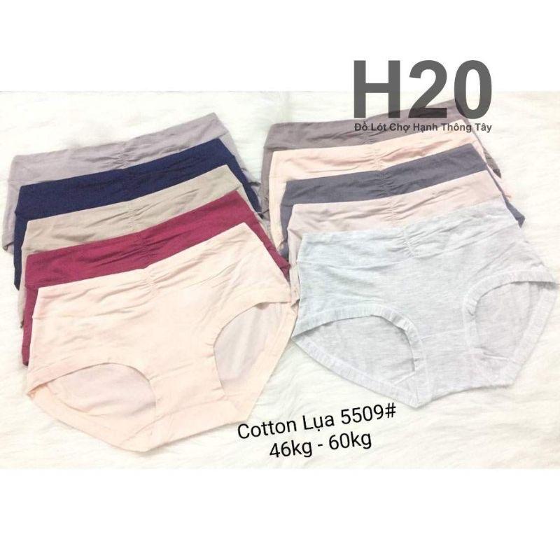 Combo 5 Quần Lót Cotton cạp cao mã 5509