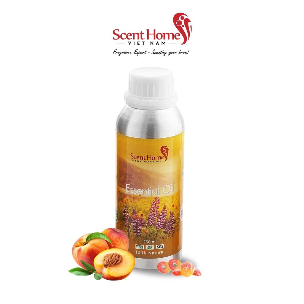 Tinh dầu Scent Homes - mùi hương